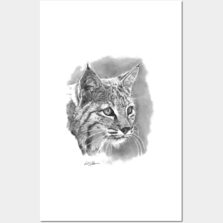 Bobcat - Big Cat - Wild Cat Posters and Art